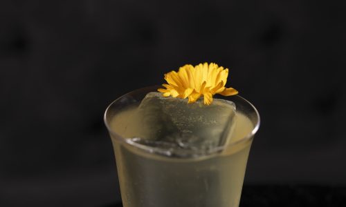 Guava-Jasmin4-1