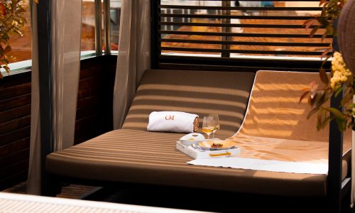 f23ed678-4a45-4dbb-9cc9-213d50ece7e4-scaled